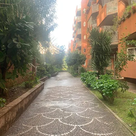 Trastevere Soul- Cozy